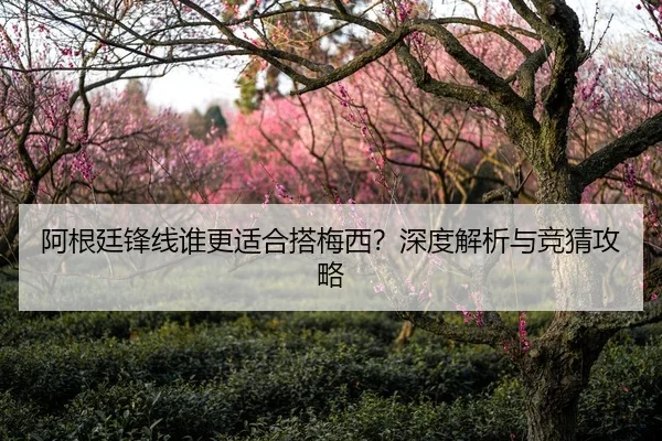 阿根廷锋线谁更适合搭梅西？深度解析与竞猜攻略