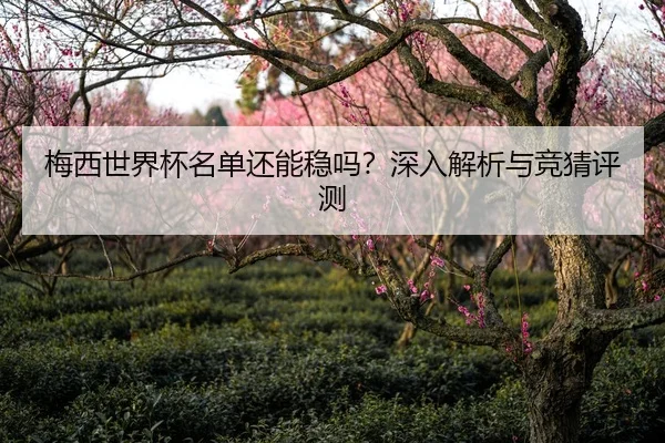 梅西世界杯名单还能稳吗？深入解析与竞猜评测