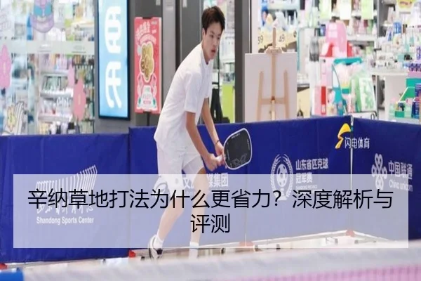 辛纳草地打法为什么更省力？深度解析与评测